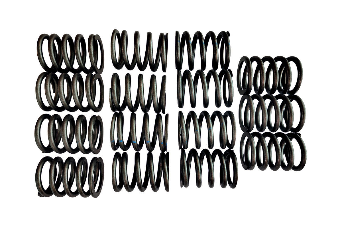 VALEO Spring kit Tata 2516 (GB75),GB75-Spring Kit(VALE-843359)